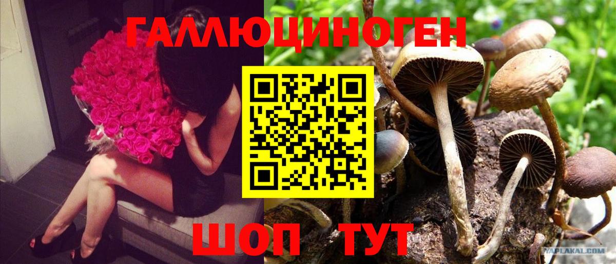 Реутов  Псилоцибиновые грибы Psilocybine cubensis  Псилоцибиновые грибы Magic Shrooms  Вход с VPN 